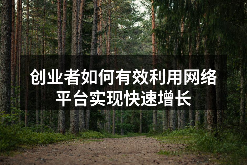 创业者如何有效利用网络平台实现快速增长