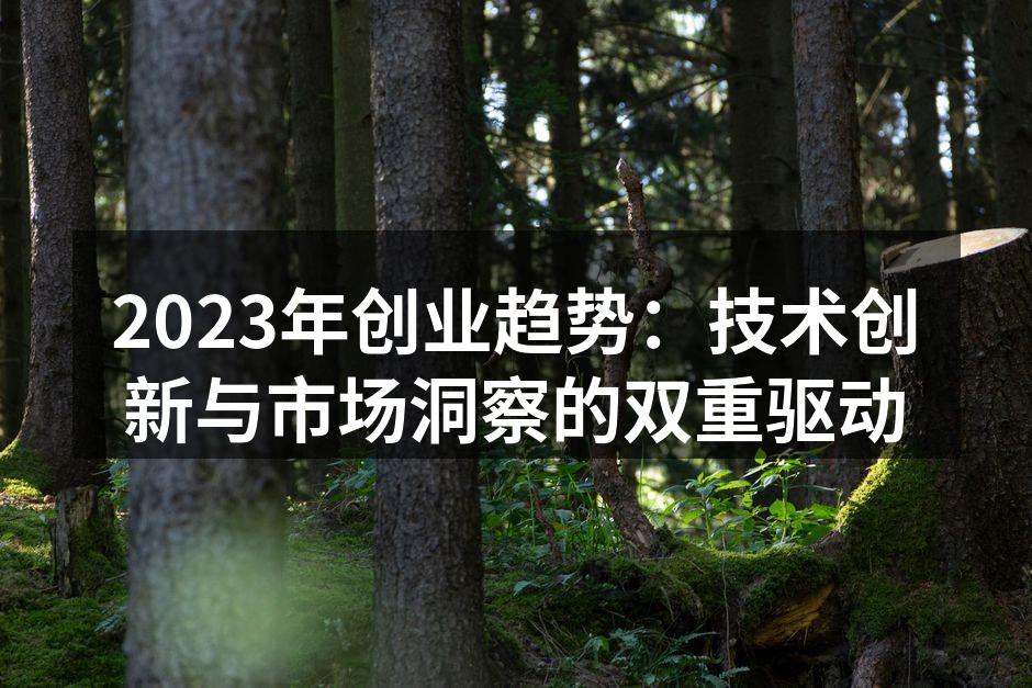 2023年创业趋势：技术创新与市场洞察的双重驱动